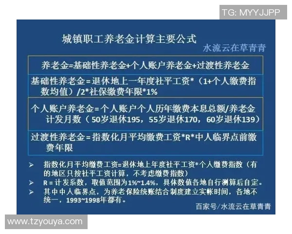 2015年与岚补中对比分析探讨其在文化与社会影响上的异同