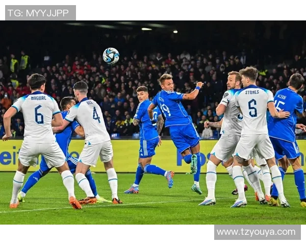 2015至2016赛季英超桑德兰与莱斯特城精彩对决回顾与分析