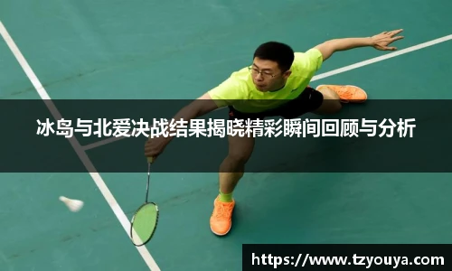 冰岛与北爱决战结果揭晓精彩瞬间回顾与分析