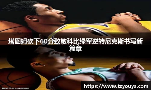 HB火博app下载