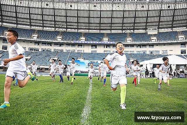 介绍HB火博在线登录